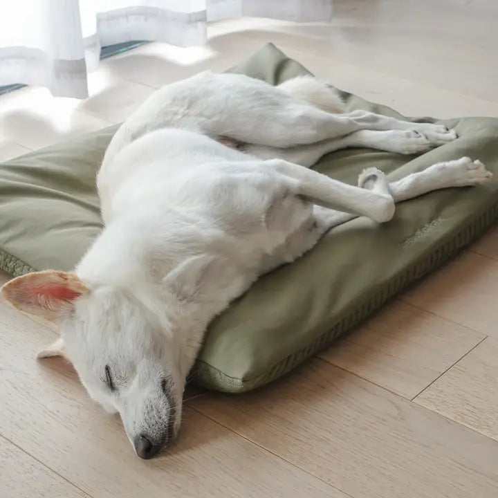 Hundebett | Matin