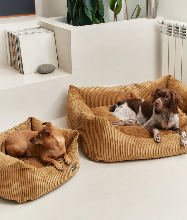 Hundebett aus Cord