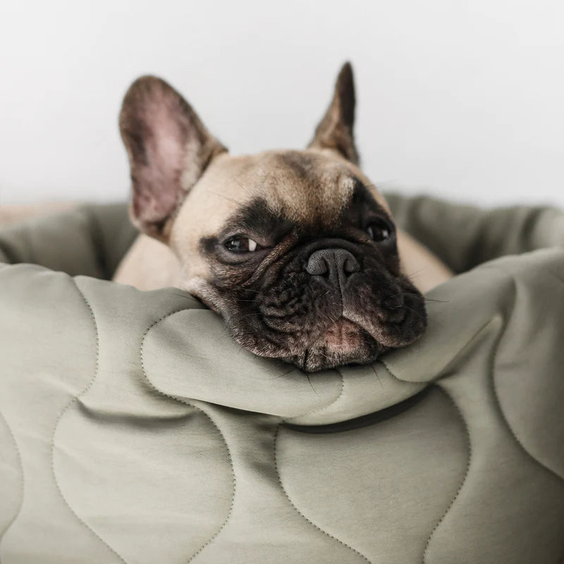 Hundebett