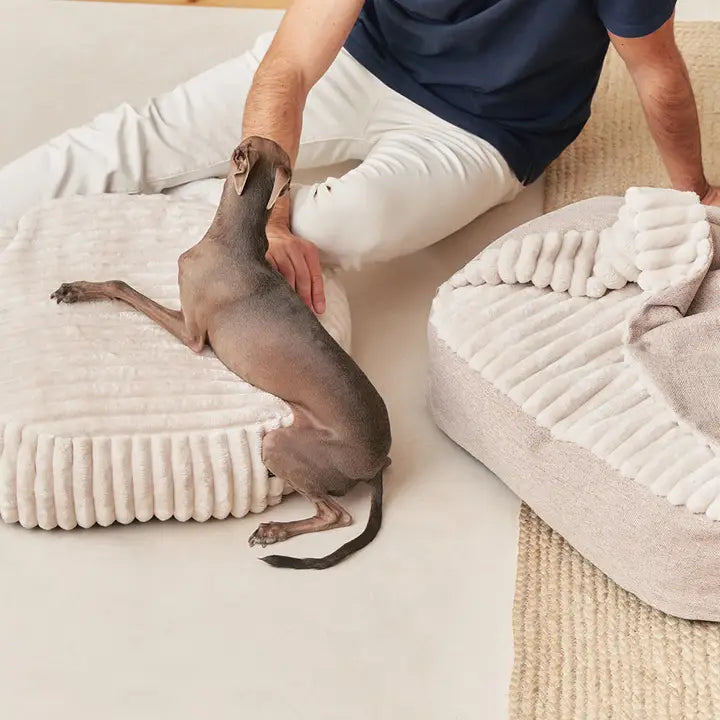 Hundebett mit Decke aus Cord | Maso
