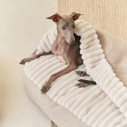 Hundebett mit Decke aus Cord | Maso
