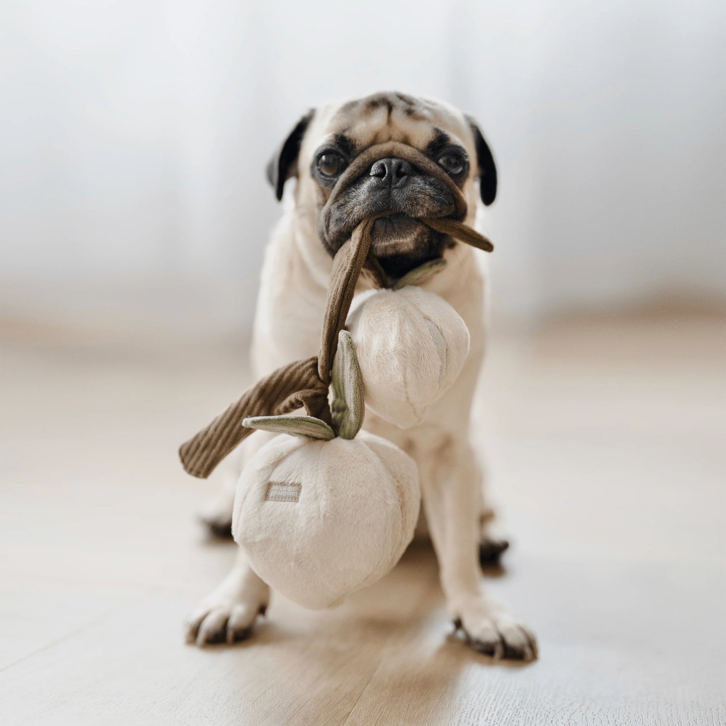 Schnüffel-Spielzeug | Pfirsich Momo