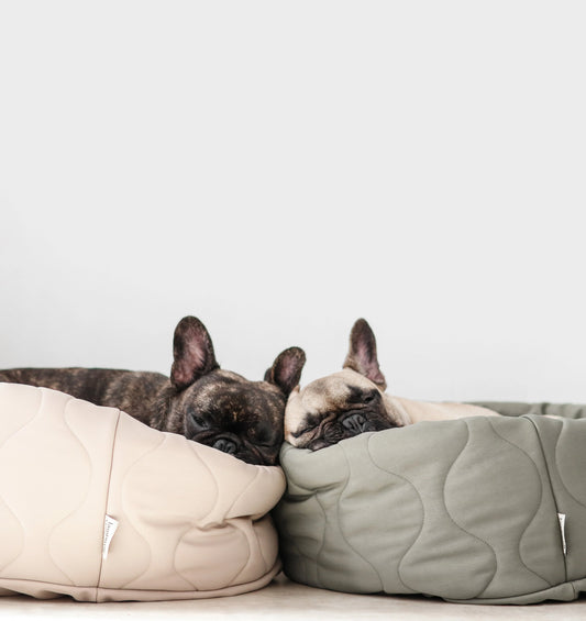 Hundebett