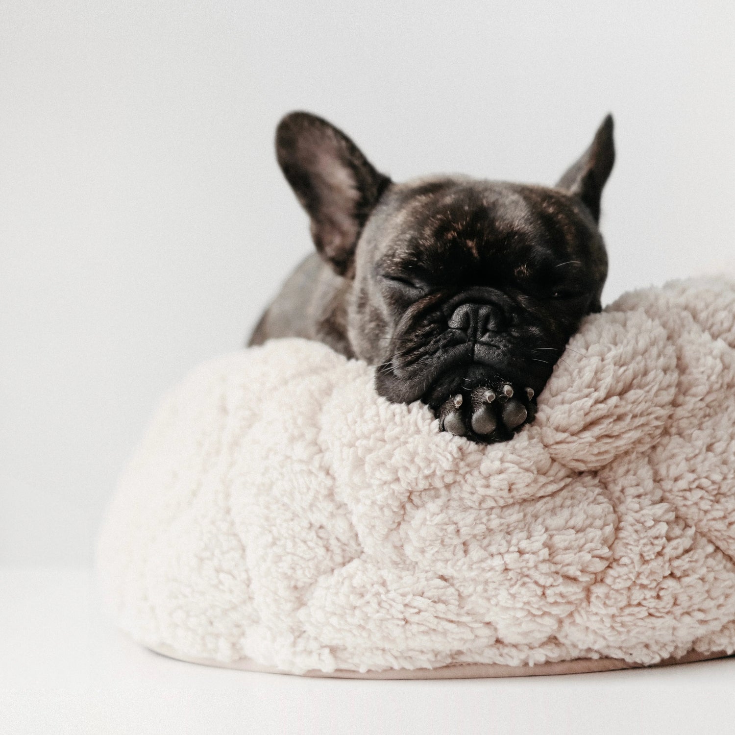 Hundebett