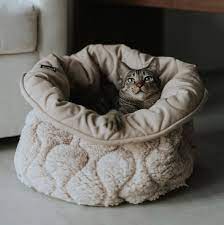 Hundebett