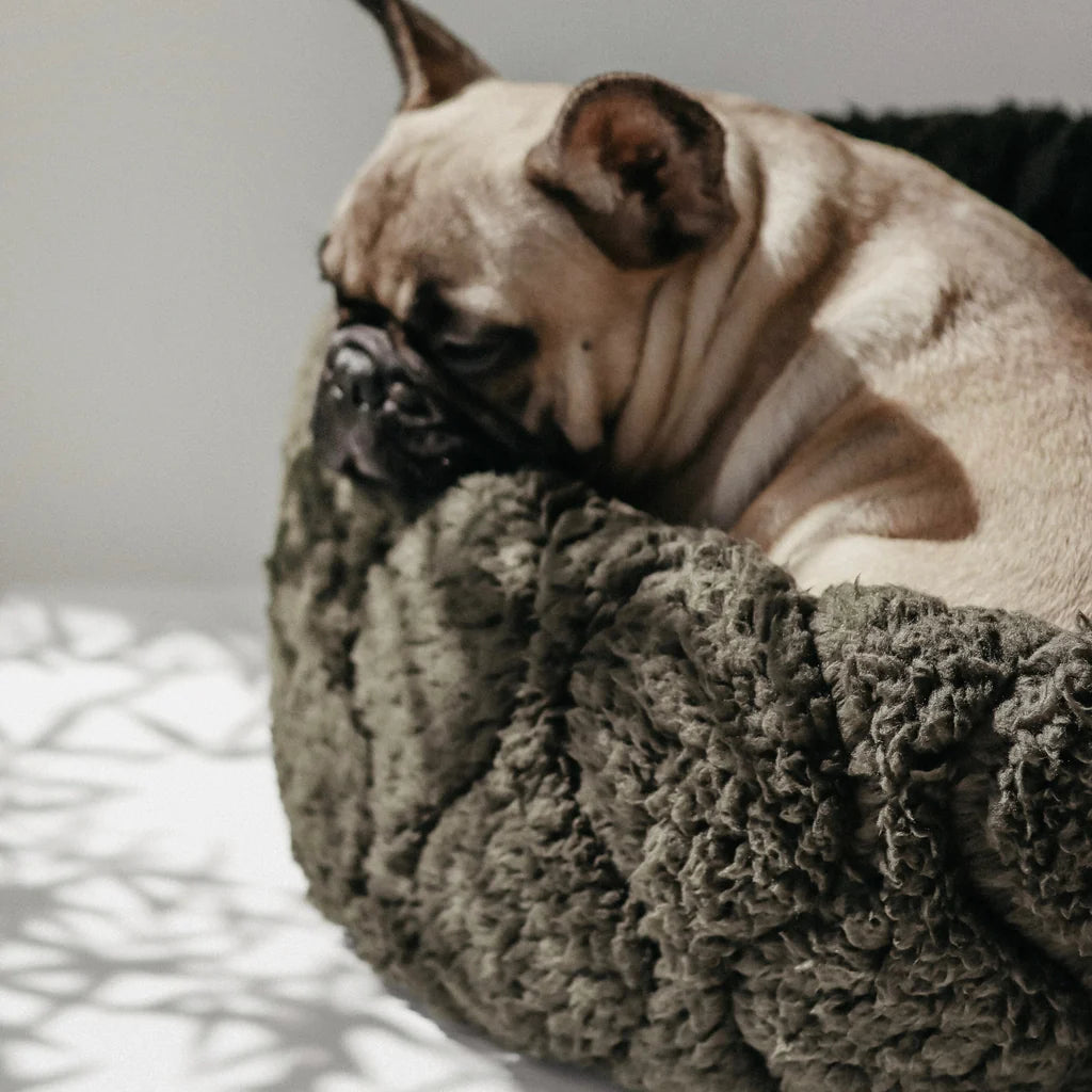 Hundebett