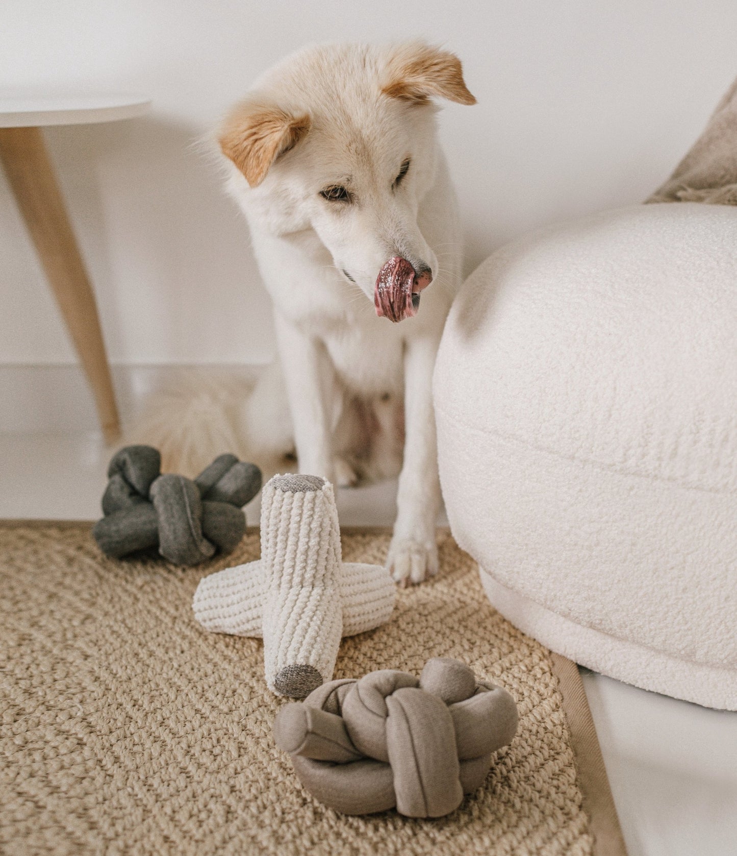 Hundespielzeug mit Quitschie & Knittern | Breuer