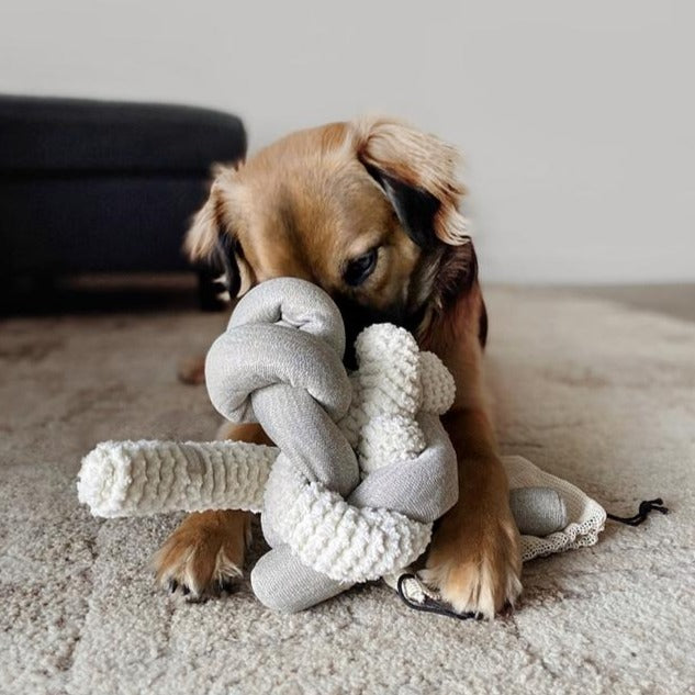 Hundespielzeug | Nou