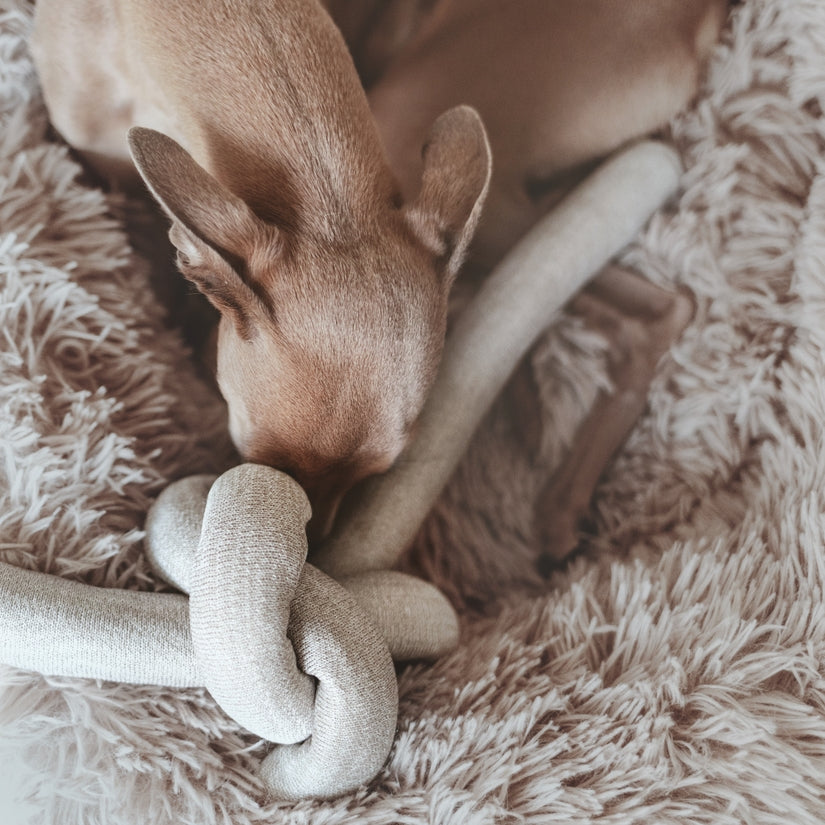 Hundespielzeug | Nou