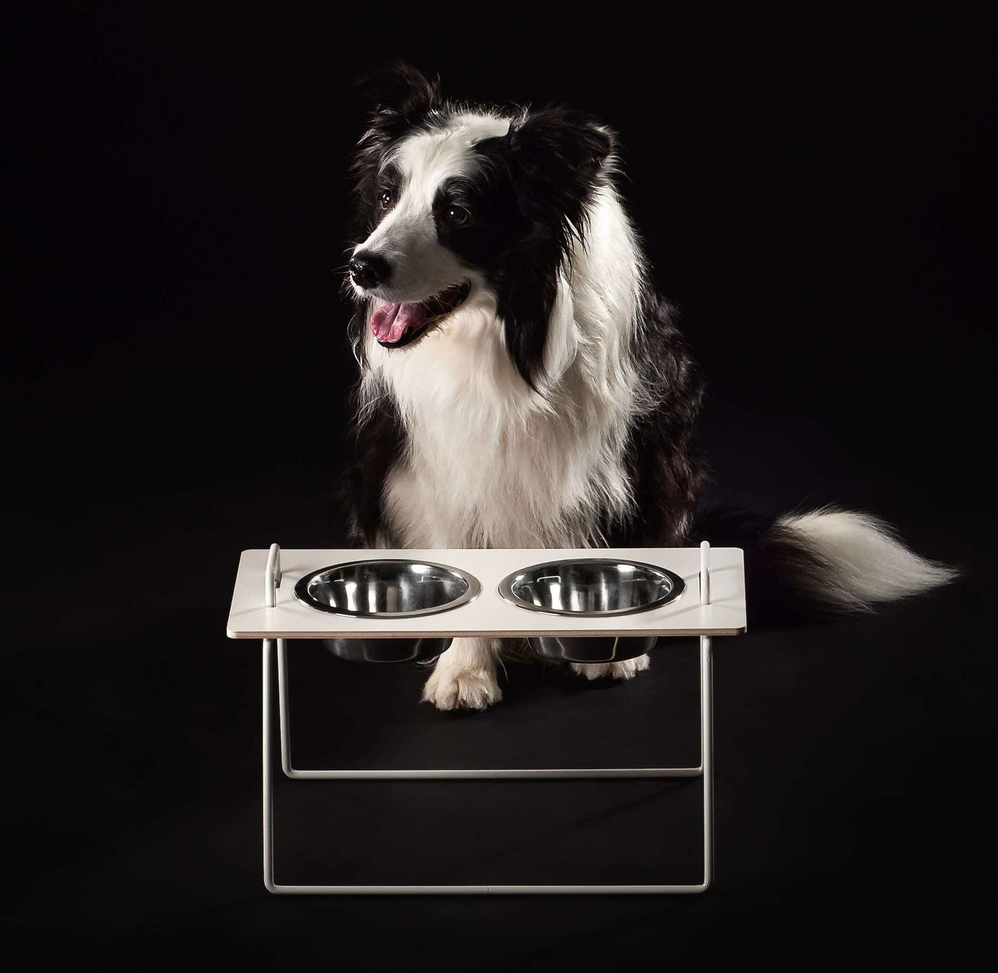 Futterständer | Wuffs Bowl