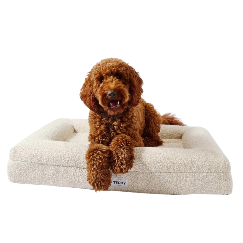 Hundebett Boucle