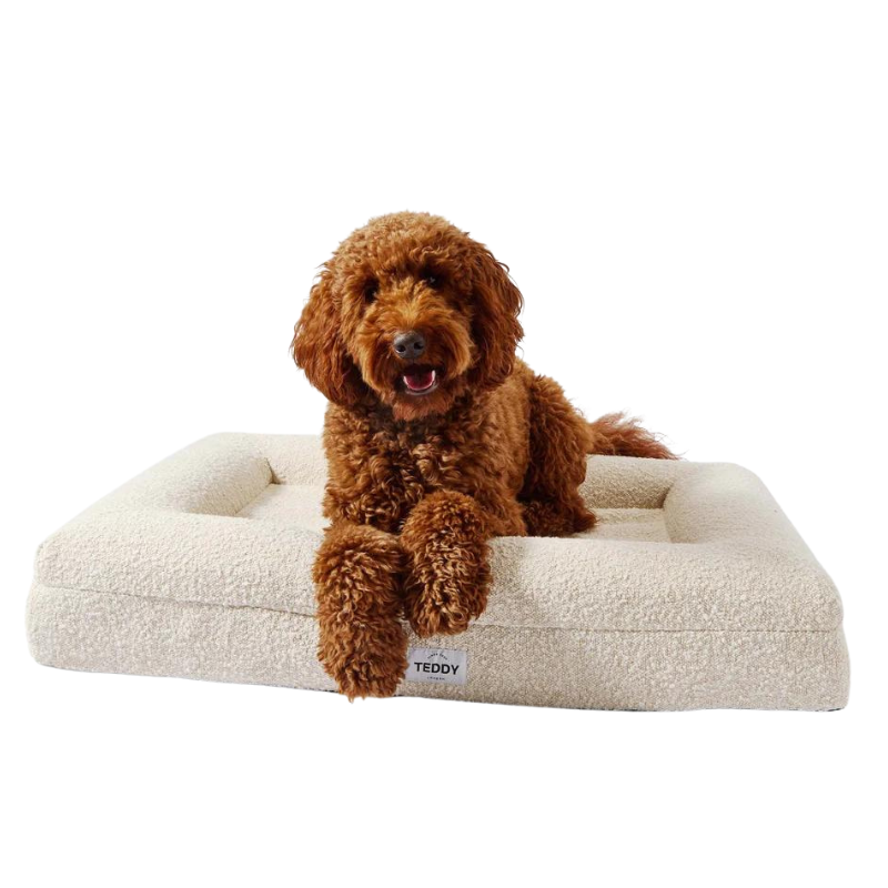 Hundebett | Boucle