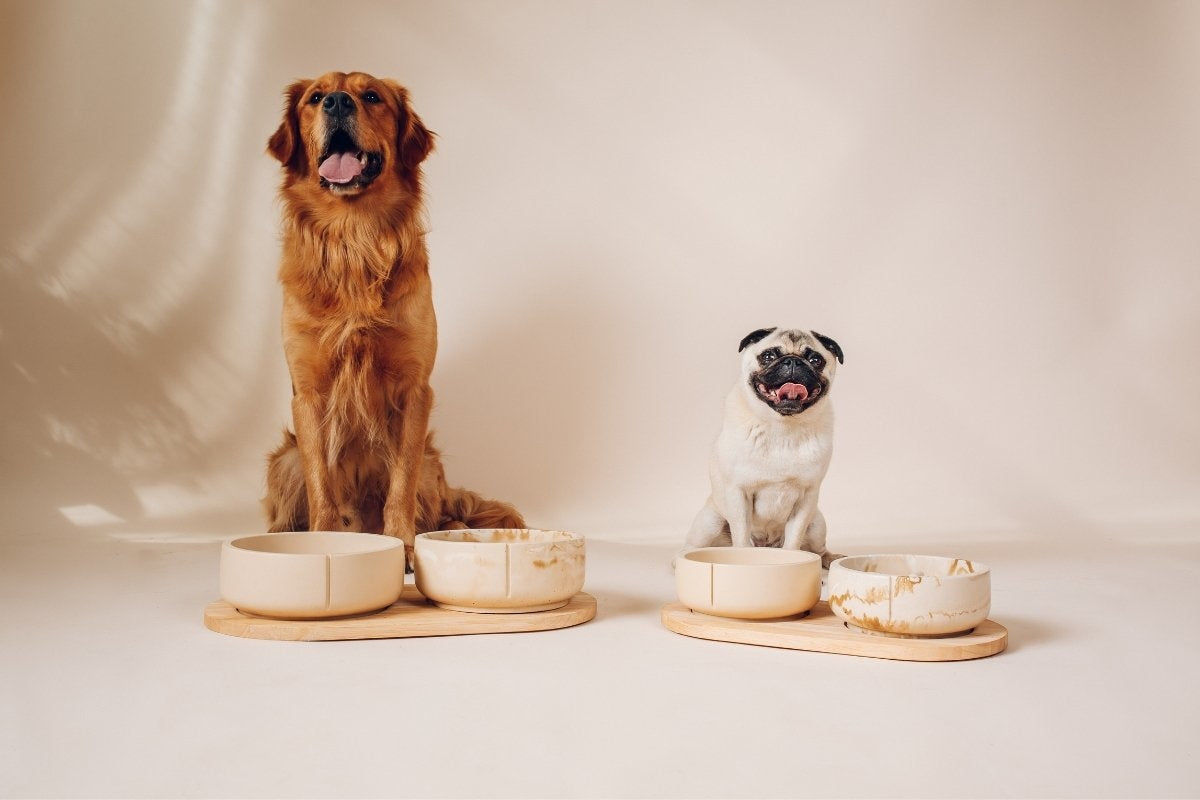 Futter- & Wassernapf | Set