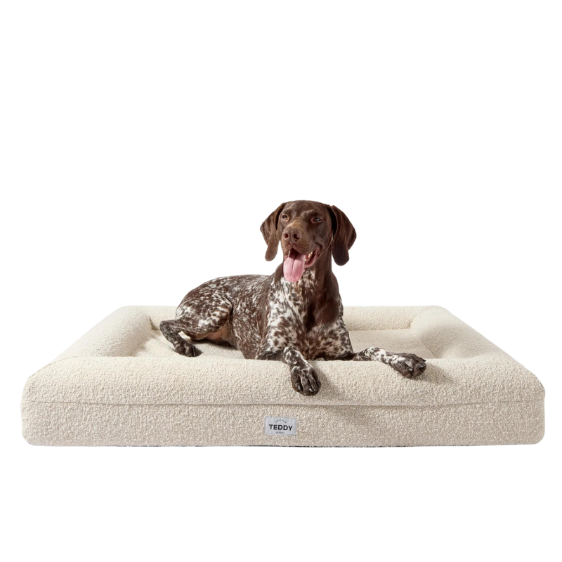 Hundebett Boucle