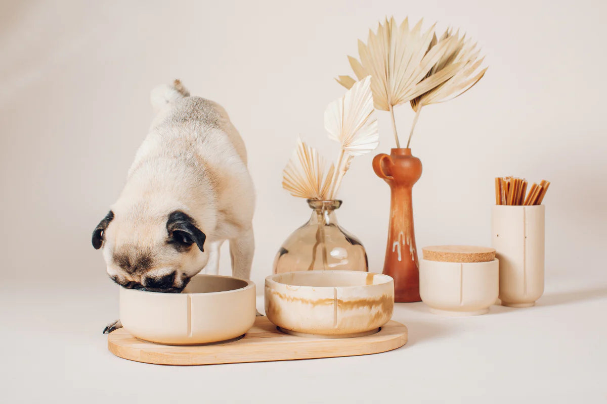 Futter- & Wassernapf | Set