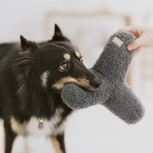 Hundespielzeug mit Quitschie & Knittern | Oh Breuer