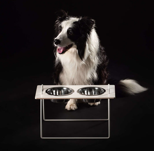 Futterständer | Wuffs Bowl