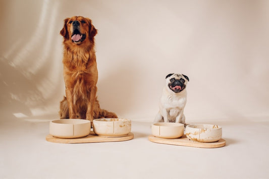 Futter- & Wassernapf | Set